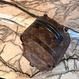 Monogram Palm Springs Backpack Mini - Louis Vuitton