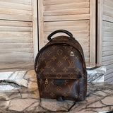 Monogram Palm Springs Backpack Mini - Louis Vuitton