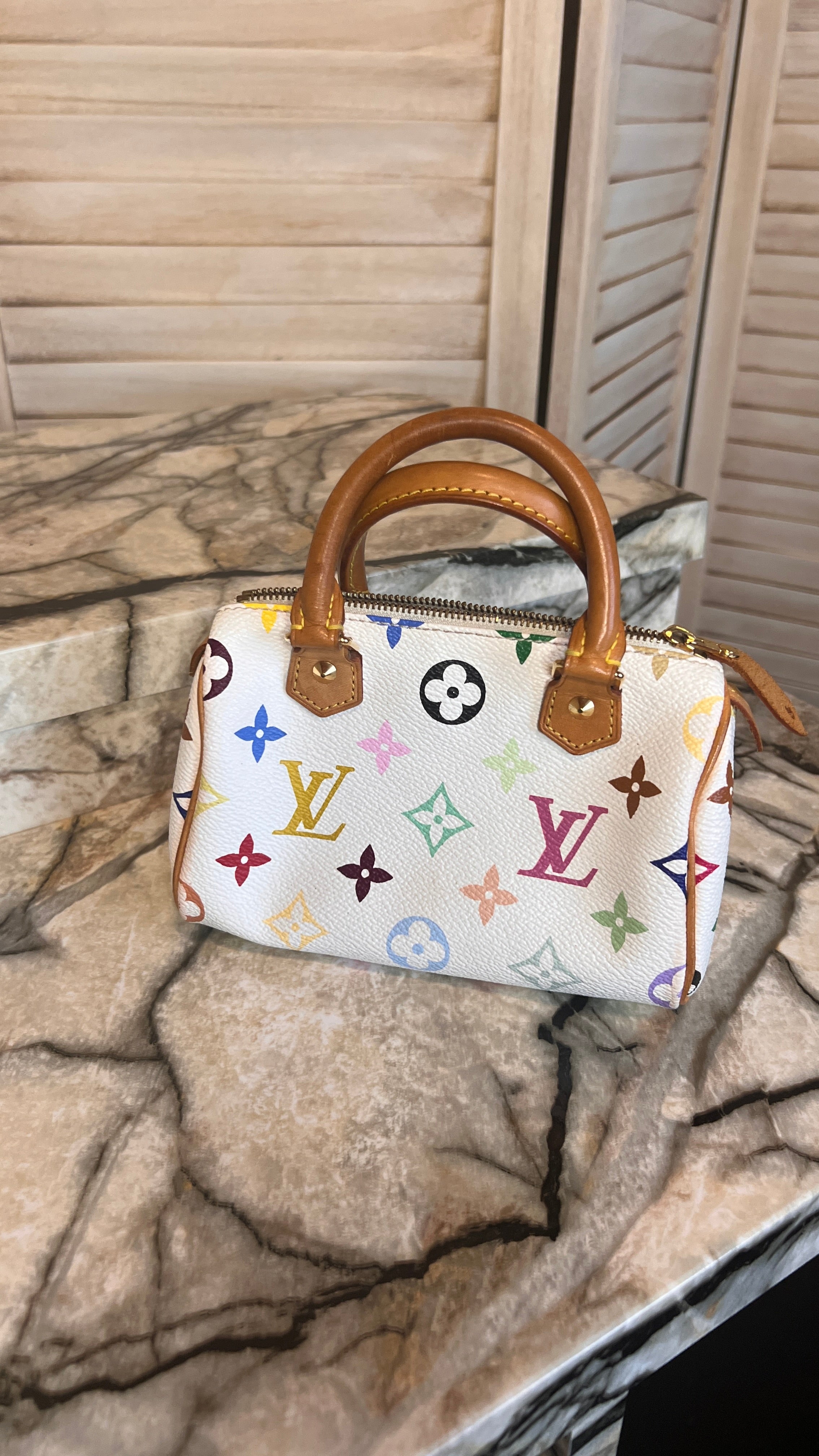 Handbags Louis Vuitton Speedy Mini Multicolor Mini Sac Louis