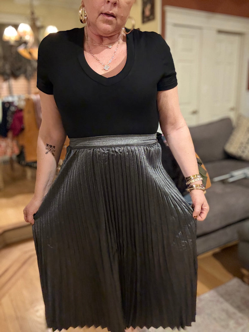 Tempted Romance Pleated Skirt